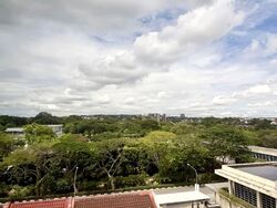 Fourth Avenue Residences (D10), Apartment #527268391
